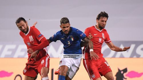 欧洲杯决赛意大利队员(意大利队在欧洲杯决赛中取得胜利)